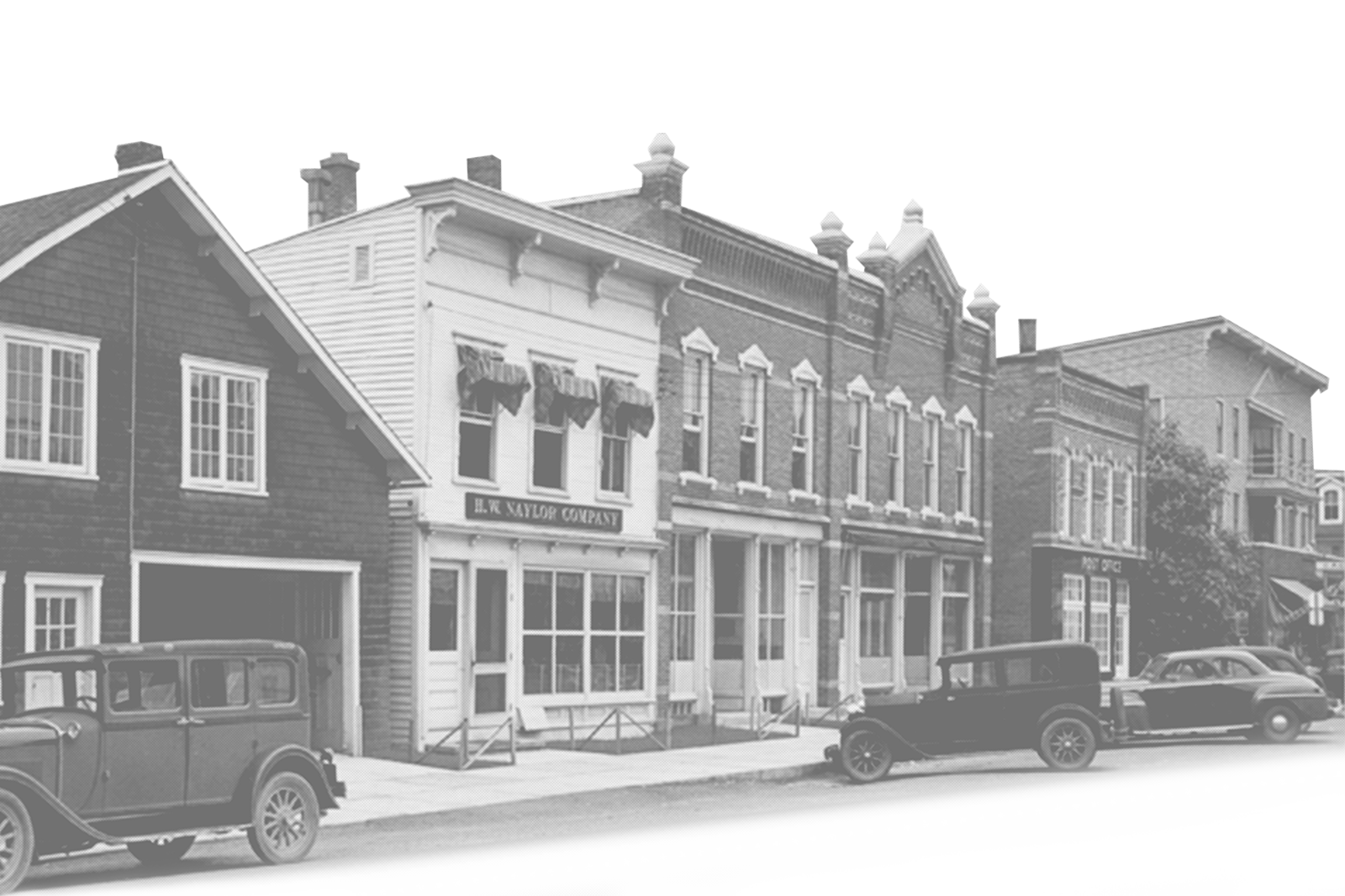 Dr. Naylor Suply Equinos